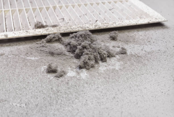 Best Affordable Air Duct Cleaning  in Waterflow, NM