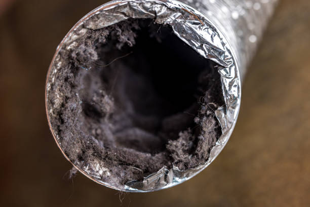 Best Air Vent Cleaning Services  in Waterflow, NM